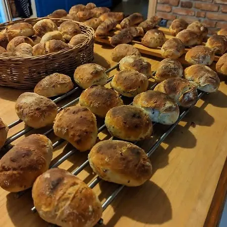 Lesniczowka Wysokie Kaczki