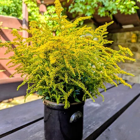 Casa de Férias Leśniczówka Wysokie Kaczki