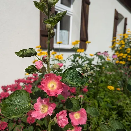 Casa de Férias Leśniczówka Wysokie Kaczki *