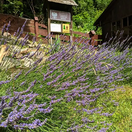 Leśniczówka Wysokie Kaczki Casa de Férias