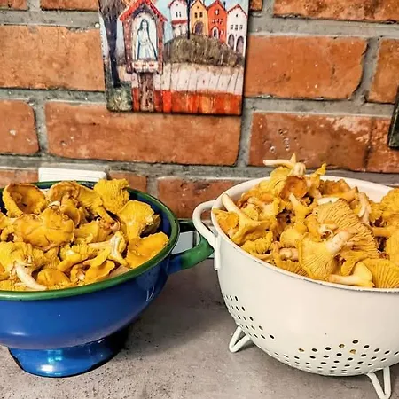 Leśniczówka Wysokie Kaczki * Kaczkowo (Wejherowo)