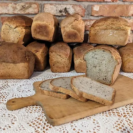 Lesniczowka Wysokie Kaczki Prázdninový dům *