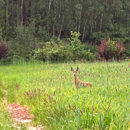 Leśniczówka Wysokie Kaczki Casa de Férias