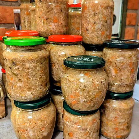 Lesniczowka Wysokie Kaczki Kaczkowo (Wejherowo)