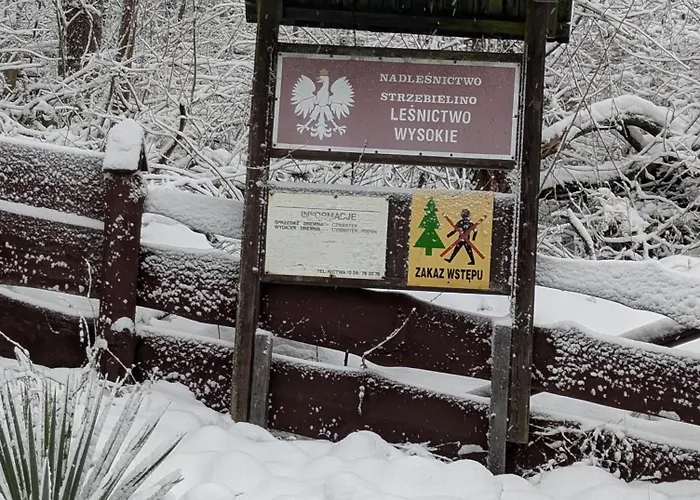 Lesniczowka Wysokie Kaczki * Kaczkowo (Wejherowo)