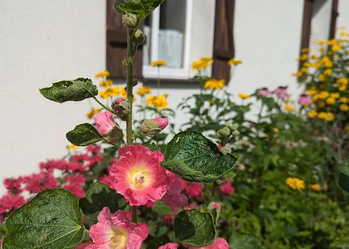 Ferienhaus Lesniczowka Wysokie Kaczki *