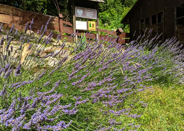 Lesniczowka Wysokie Kaczki Ferienhaus