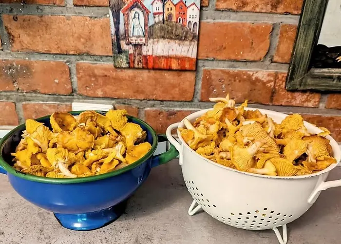 Lesniczowka Wysokie Kaczki * Kaczkowo (Wejherowo)